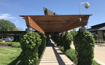 Spring Maintenance for Commercial Properties