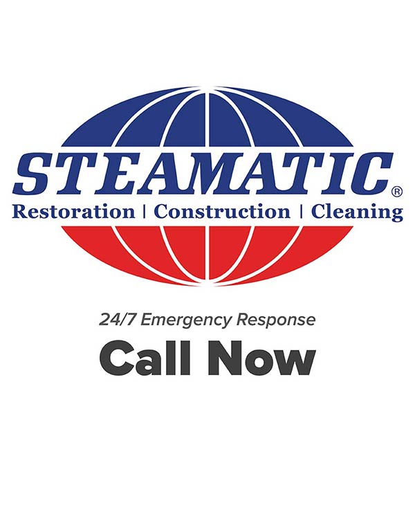 Steamatic lettering and logo